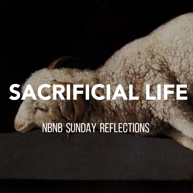 SACRIFICIAL LIFE