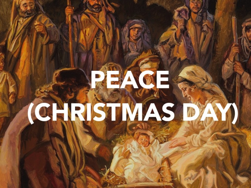 PEACE (CHRISTMAS DAY&nbsp;REFLECTION)