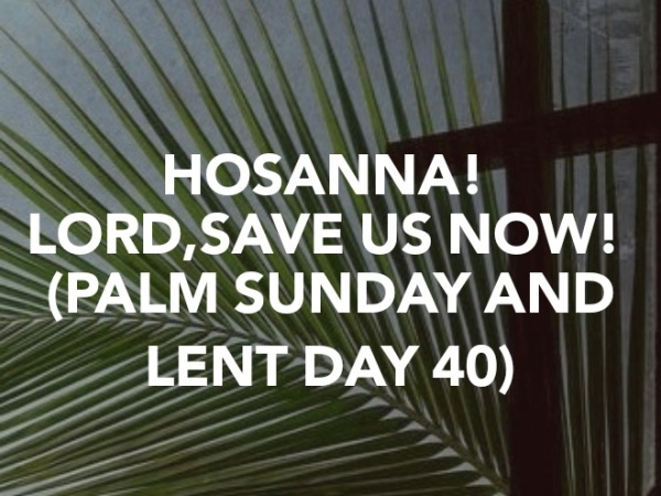 HOSANNA! LORD, SAVE US NOW! (PALM SUNDAY AND LENT DAY 40)