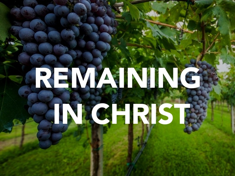 REMAINING IN CHRIST