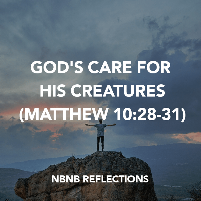 GOD’S CARE FOR HIS CREATURES (MATTHEW&nbsp;10:28-31)