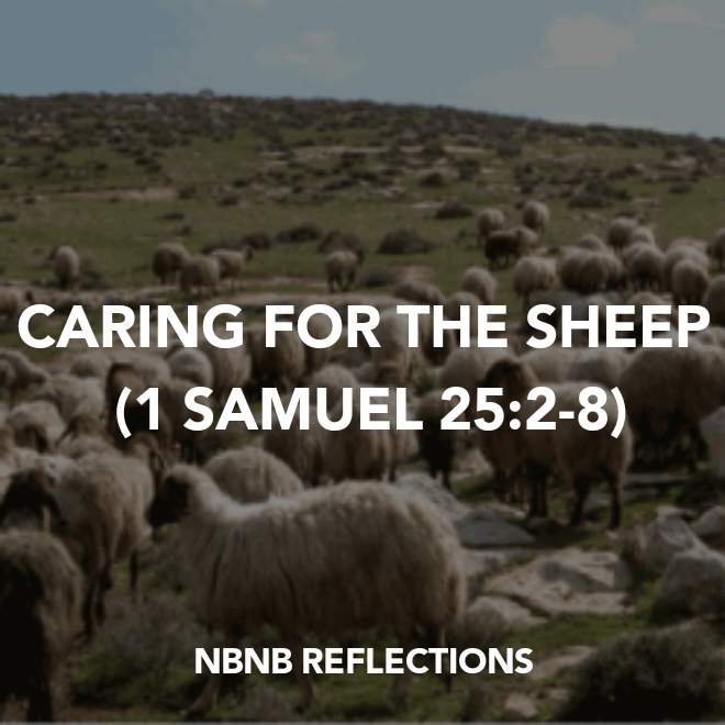 CARING FOR THE SHEEP (1 SAMUEL&nbsp;25:2-8)