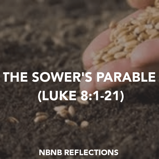 THE SOWER’S PARABLE (LUKE&nbsp;8:1-21)