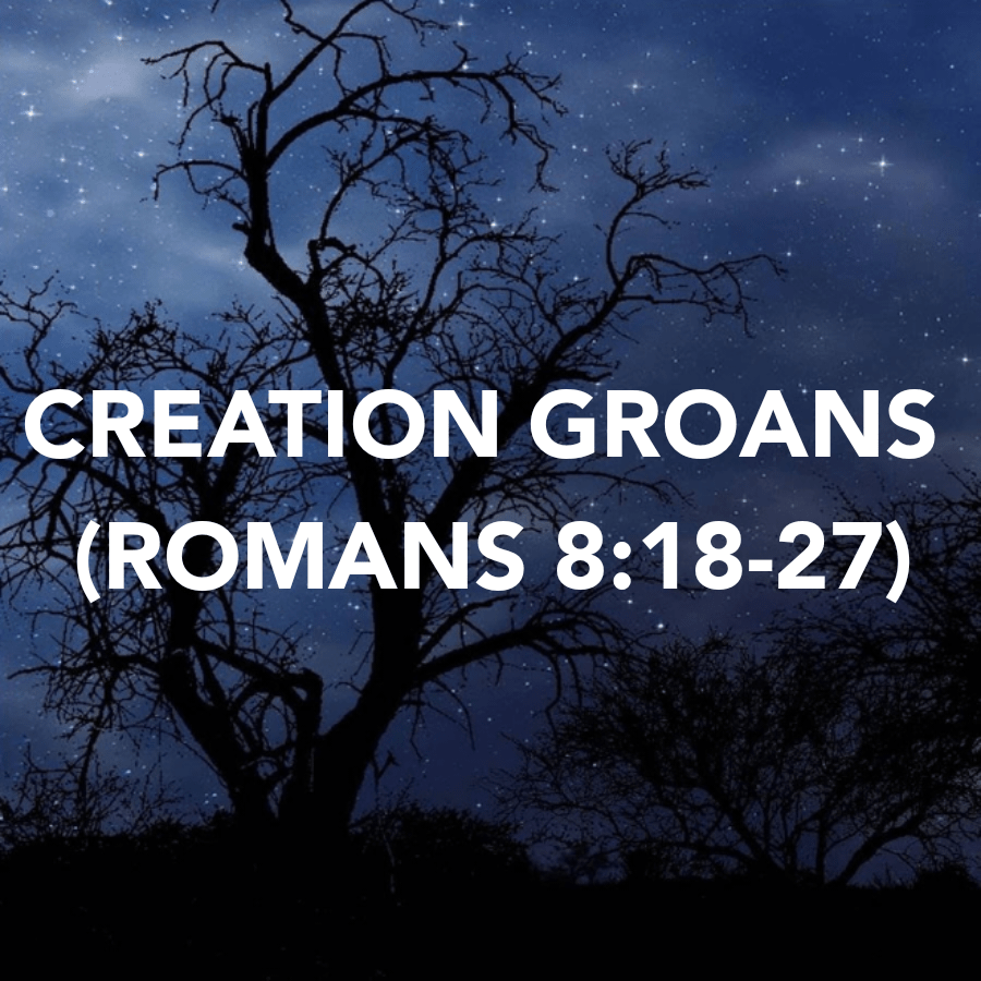 CREATION GROANS (ROMANS&nbsp;8:18-27)