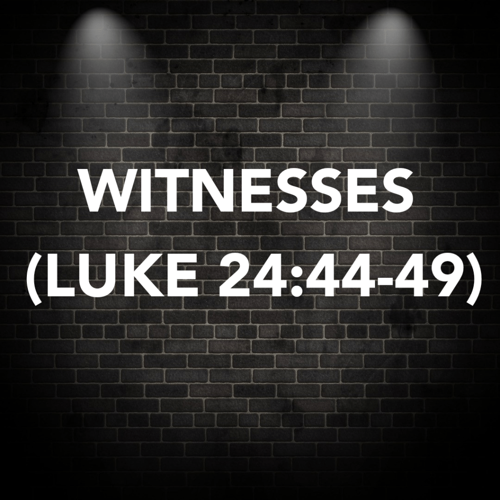 WITNESSES (LUKE 24:44-49)