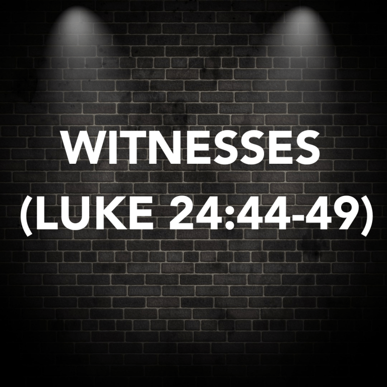 WITNESSES (LUKE 24:44-49) – NO BIBLE NO BREAKFAST DAILY BIBLE ...