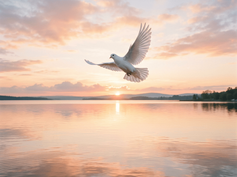 BEARING WITNESS IN THE POWER OF THE&nbsp;SPIRIT